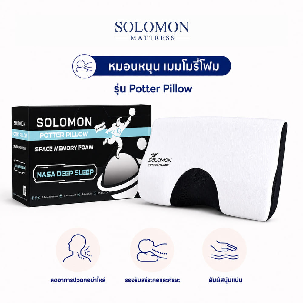 หมอนเมมโมรี่โฟม SOLOMON รุ่น POTTER PILLOW
